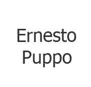 Designer:Ernesto   Puppo 