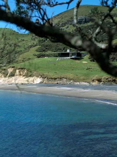Shark Alley House