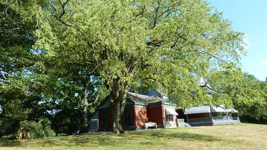 Sagamore Hill House