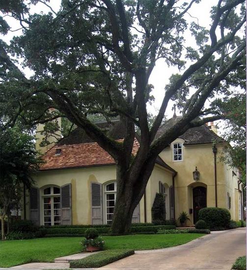 Houston River Oaks propetry