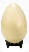 Egg Lamp