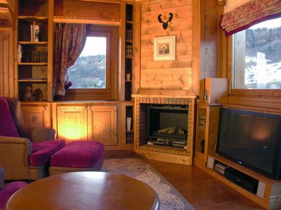 TV room with fireplace in the Alps